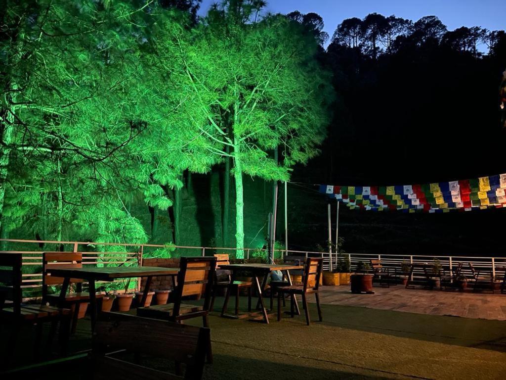 Hillcrest Heights Bed and Breakfast Kasauli Buitenkant foto