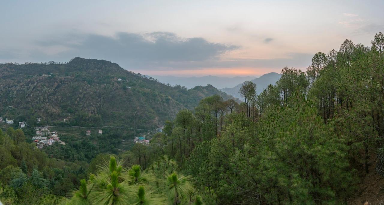 Hillcrest Heights Bed and Breakfast Kasauli Buitenkant foto
